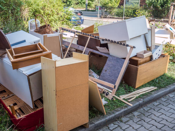 Best Electronics and E-Waste Disposal  in Long Lake, MN